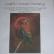 Rebecca Latham - Scarlet Macaw preening - pedloha